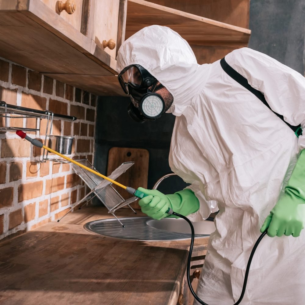 side view of pest control worker spraying pesticides on shelves in kitchen